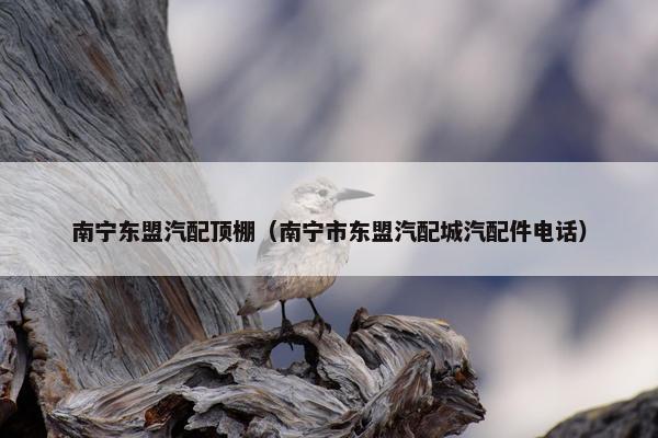 南宁东盟汽配顶棚（南宁市东盟汽配城汽配件电话）