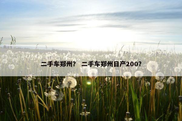 二手车郑州？ 二手车郑州日产200？