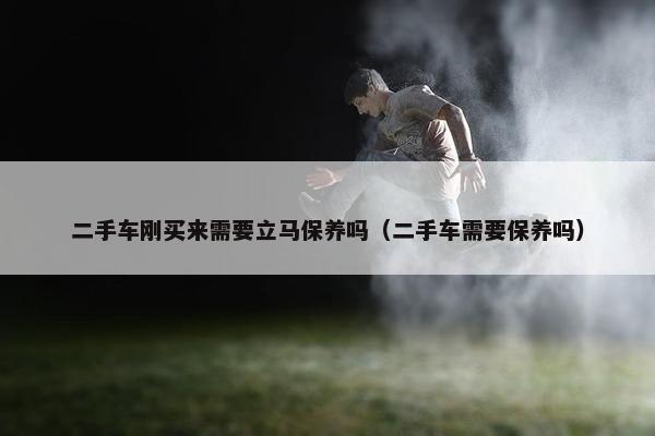 二手车刚买来需要立马保养吗（二手车需要保养吗）