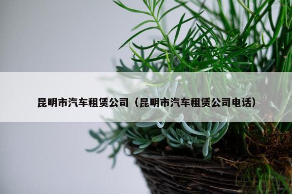 昆明市汽车租赁公司（昆明市汽车租赁公司电话）