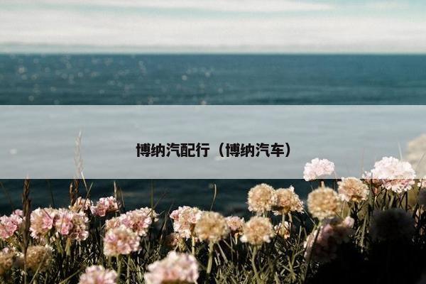博纳汽配行（博纳汽车）