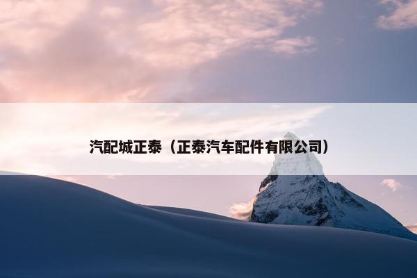 汽配城正泰（正泰汽车配件有限公司）