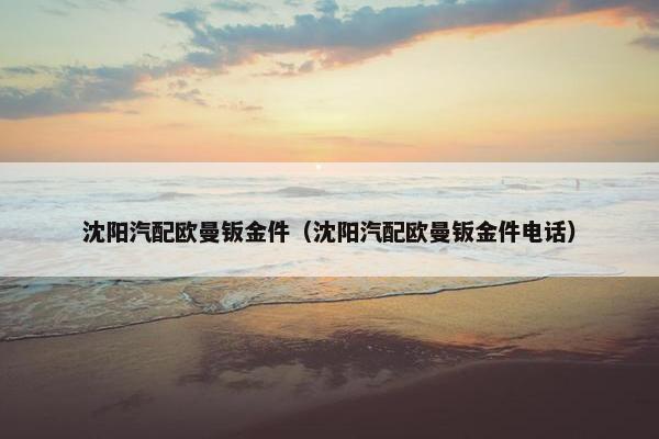 沈阳汽配欧曼钣金件（沈阳汽配欧曼钣金件电话）