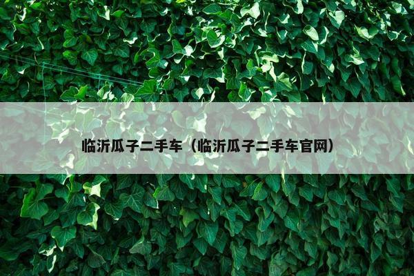 临沂瓜子二手车（临沂瓜子二手车官网）