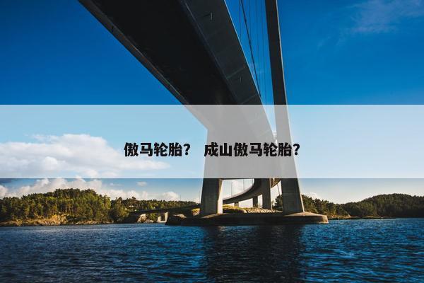 傲马轮胎？ 成山傲马轮胎？