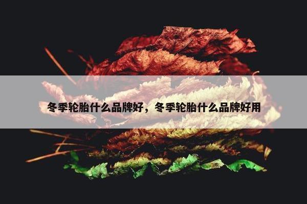 冬季轮胎什么品牌好，冬季轮胎什么品牌好用