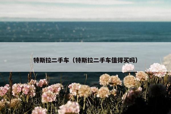 特斯拉二手车（特斯拉二手车值得买吗）