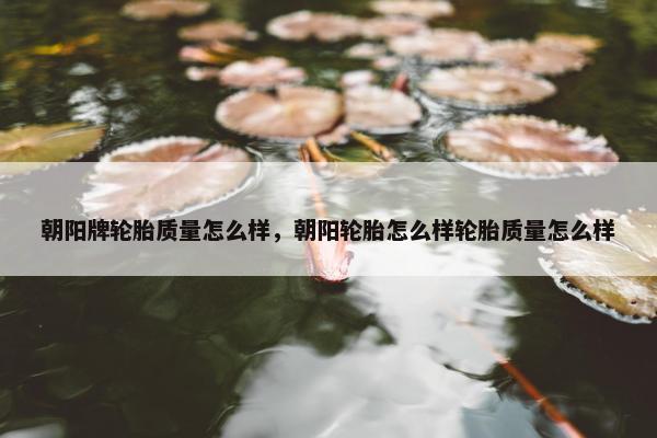 朝阳牌轮胎质量怎么样，朝阳轮胎怎么样轮胎质量怎么样