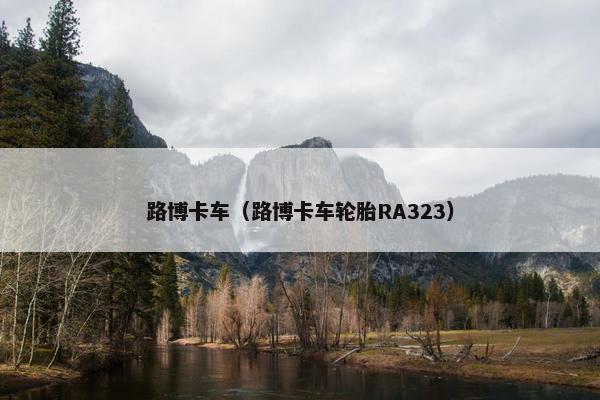 路博卡车（路博卡车轮胎RA323）