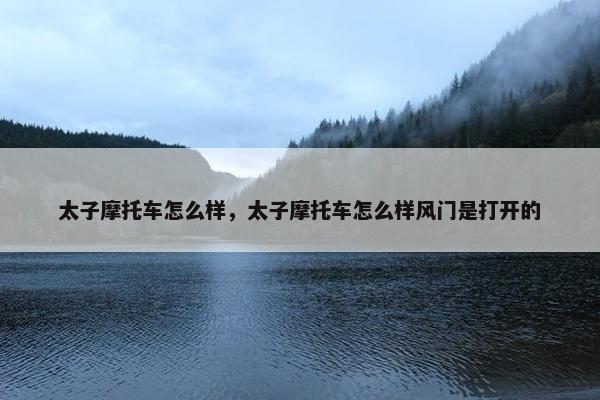 太子摩托车怎么样，太子摩托车怎么样风门是打开的
