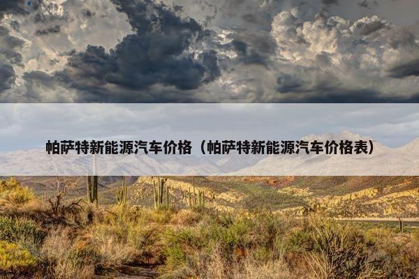 帕萨特新能源汽车价格（帕萨特新能源汽车价格表）