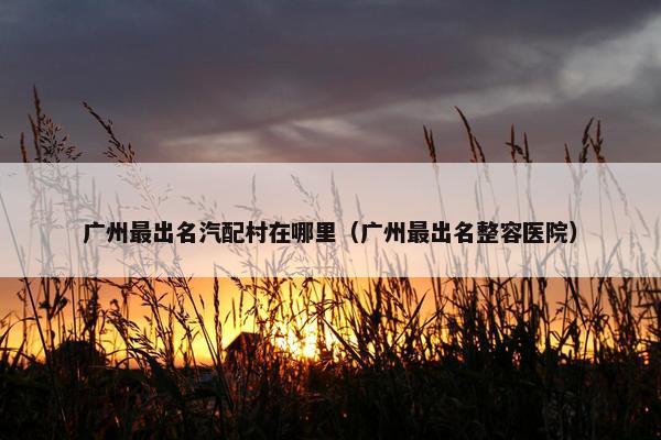 广州最出名汽配村在哪里（广州最出名整容医院）