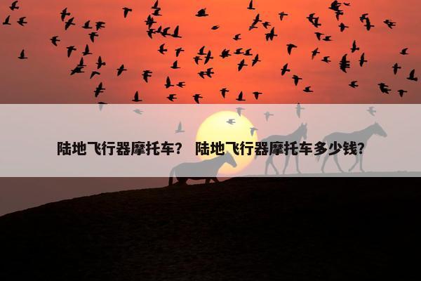 陆地飞行器摩托车？ 陆地飞行器摩托车多少钱？