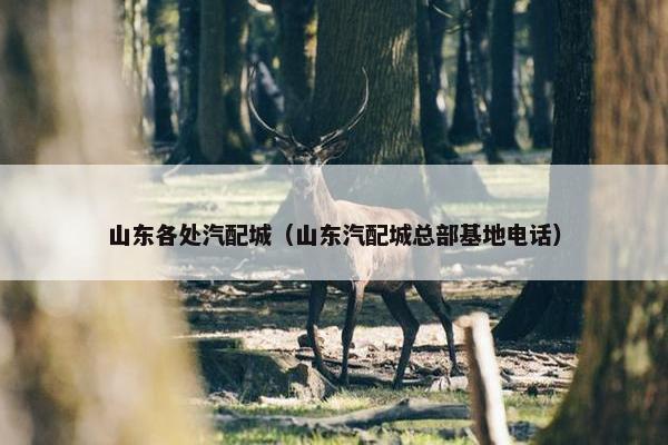 山东各处汽配城（山东汽配城总部基地电话）