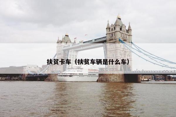 扶贫卡车（扶贫车辆是什么车）