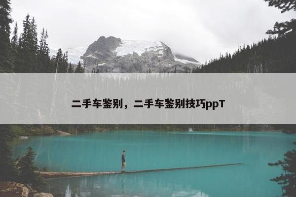 二手车鉴别，二手车鉴别技巧ppT