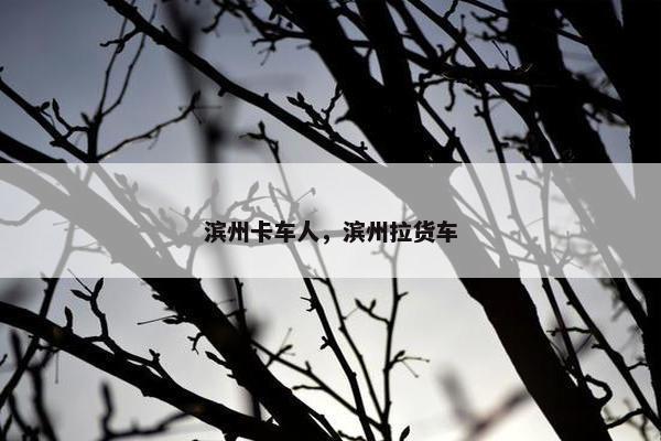 滨州卡车人，滨州拉货车