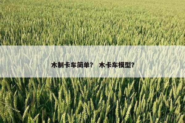 木制卡车简单？ 木卡车模型？