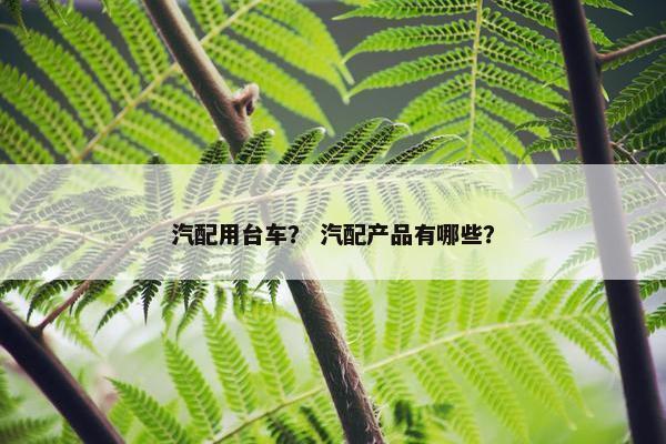 汽配用台车？ 汽配产品有哪些？