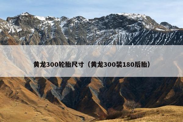 黄龙300轮胎尺寸（黄龙300装180后胎）