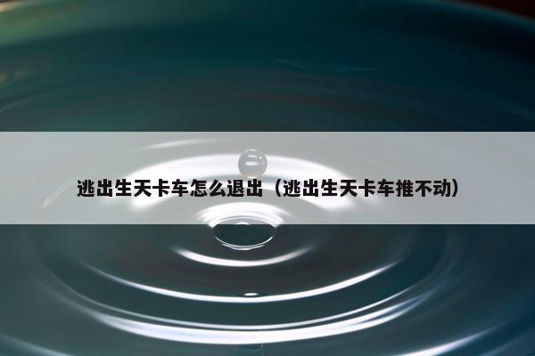 逃出生天卡车怎么退出（逃出生天卡车推不动）