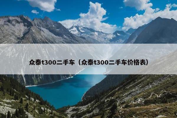 众泰t300二手车（众泰t300二手车价格表）