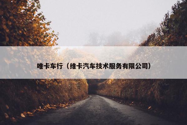 唯卡车行（维卡汽车技术服务有限公司）