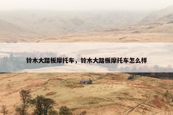 铃木大踏板摩托车，铃木大踏板摩托车怎么样