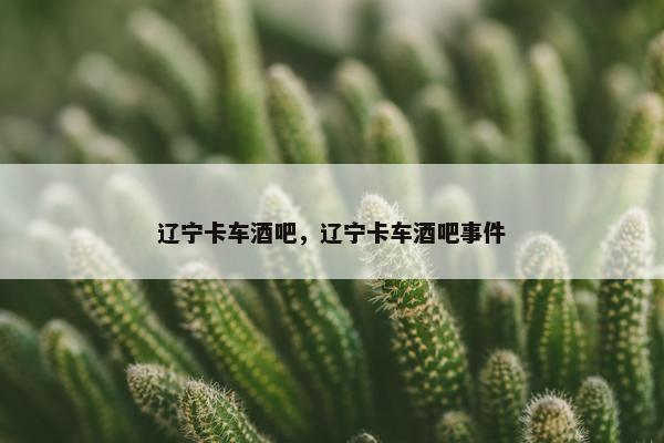 辽宁卡车酒吧，辽宁卡车酒吧事件