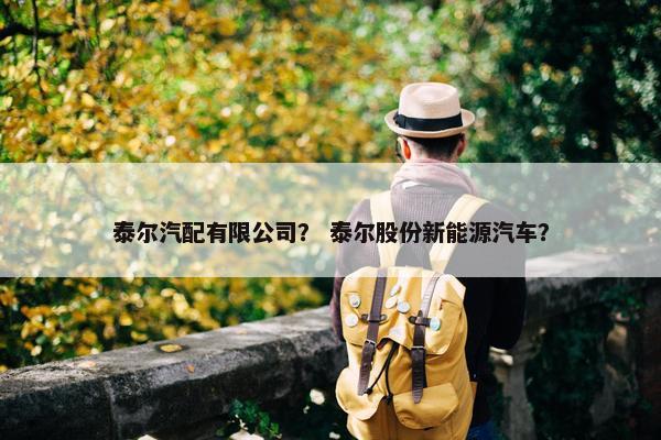 泰尔汽配有限公司？ 泰尔股份新能源汽车？