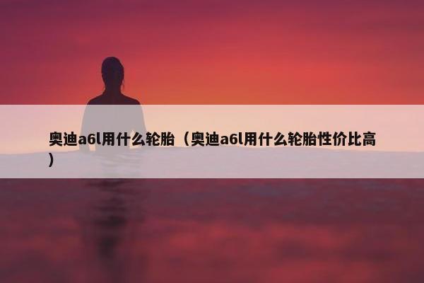 奥迪a6l用什么轮胎（奥迪a6l用什么轮胎性价比高）