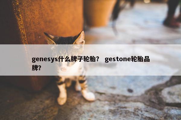 genesys什么牌子轮胎？ gestone轮胎品牌？