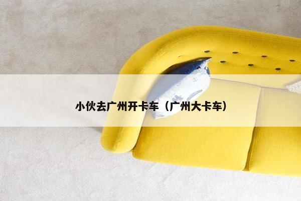 小伙去广州开卡车（广州大卡车）