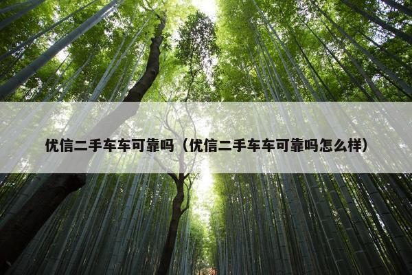 优信二手车车可靠吗（优信二手车车可靠吗怎么样）