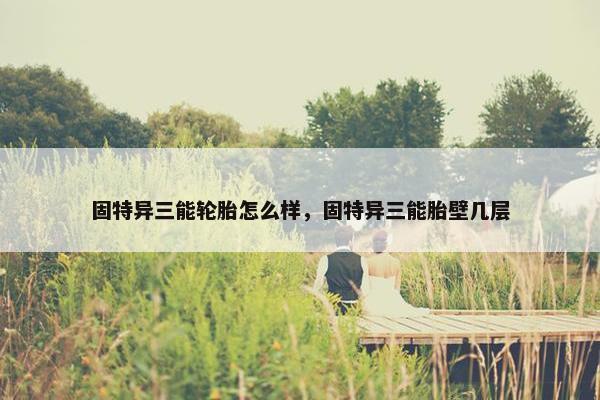 固特异三能轮胎怎么样，固特异三能胎壁几层