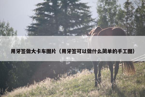 用牙签做大卡车图片（用牙签可以做什么简单的手工图）