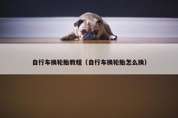 自行车换轮胎教程（自行车换轮胎怎么换）