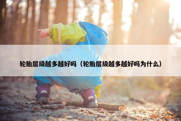 轮胎层级越多越好吗（轮胎层级越多越好吗为什么）
