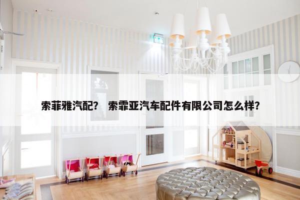 索菲雅汽配？ 索霏亚汽车配件有限公司怎么样？