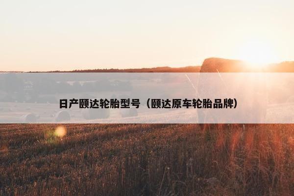 日产颐达轮胎型号（颐达原车轮胎品牌）