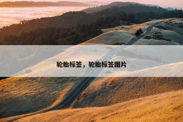 轮胎标签，轮胎标签图片