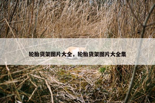 轮胎货架图片大全，轮胎货架图片大全集