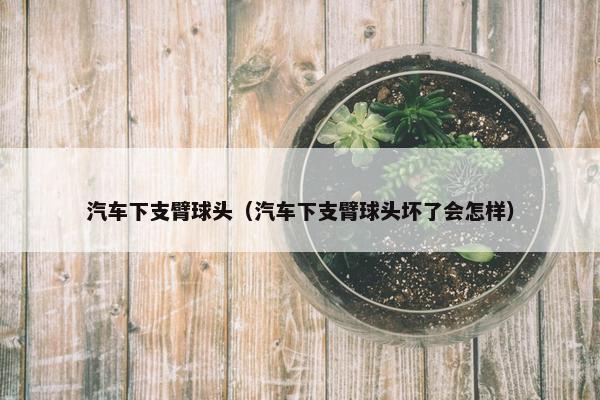 汽车下支臂球头（汽车下支臂球头坏了会怎样）