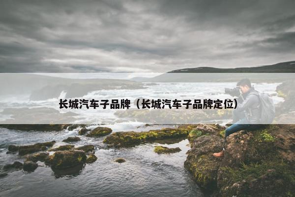 长城汽车子品牌（长城汽车子品牌定位）