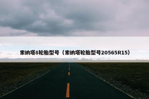 索纳塔8轮胎型号（索纳塔轮胎型号20565R15）