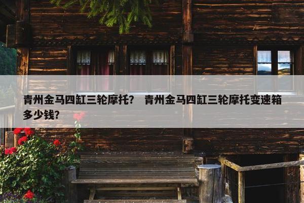 青州金马四缸三轮摩托？ 青州金马四缸三轮摩托变速箱多少钱？