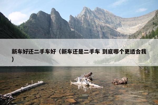新车好还二手车好（新车还是二手车 到底哪个更适合我）