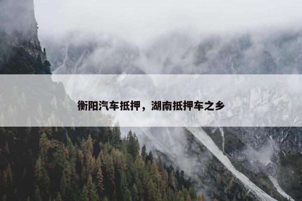 衡阳汽车抵押，湖南抵押车之乡