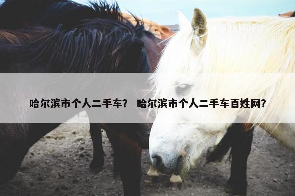 哈尔滨市个人二手车？ 哈尔滨市个人二手车百姓网？
