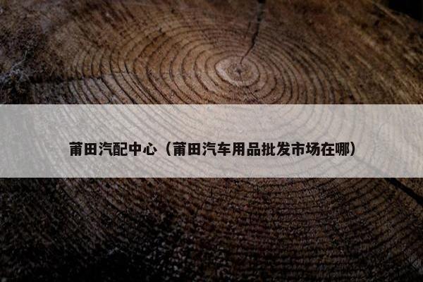 莆田汽配中心（莆田汽车用品批发市场在哪）